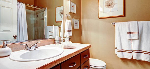 Triumphant Small Bathroom Solutions