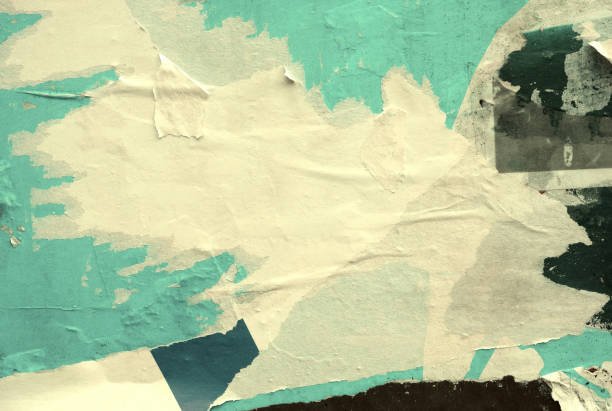 The Timeless Appeal of Vintage Wall Posters: A Collector’s Perspective